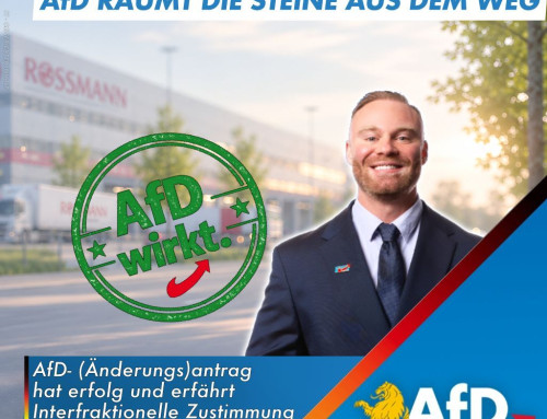 AfD räumt die Steine aus dem Weg